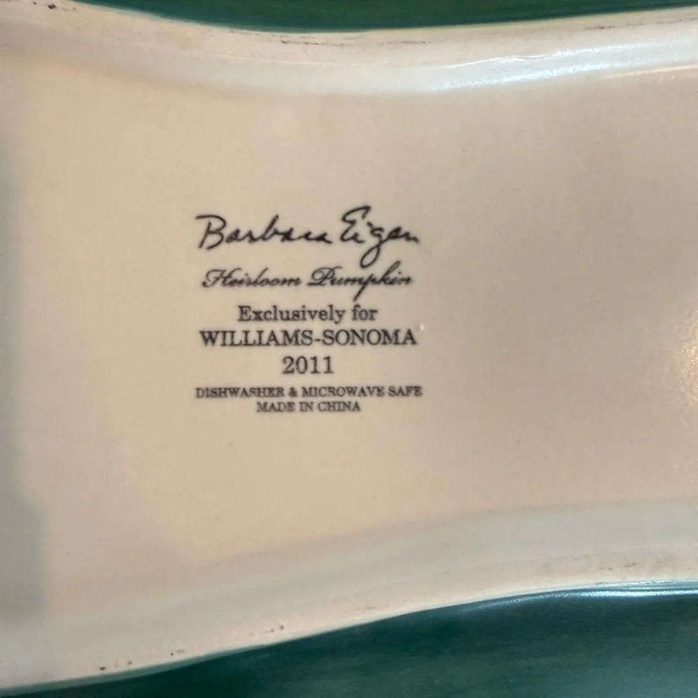 Williams Sonoma stylish teal